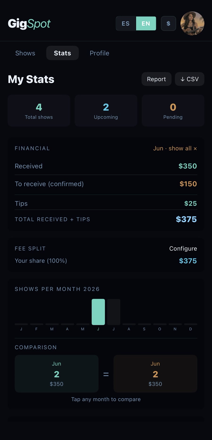 Financial dashboard showing income and stats on GigSpot